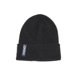 RAYS OFFICIAL KNIT CAP 24SS (ニット帽)
